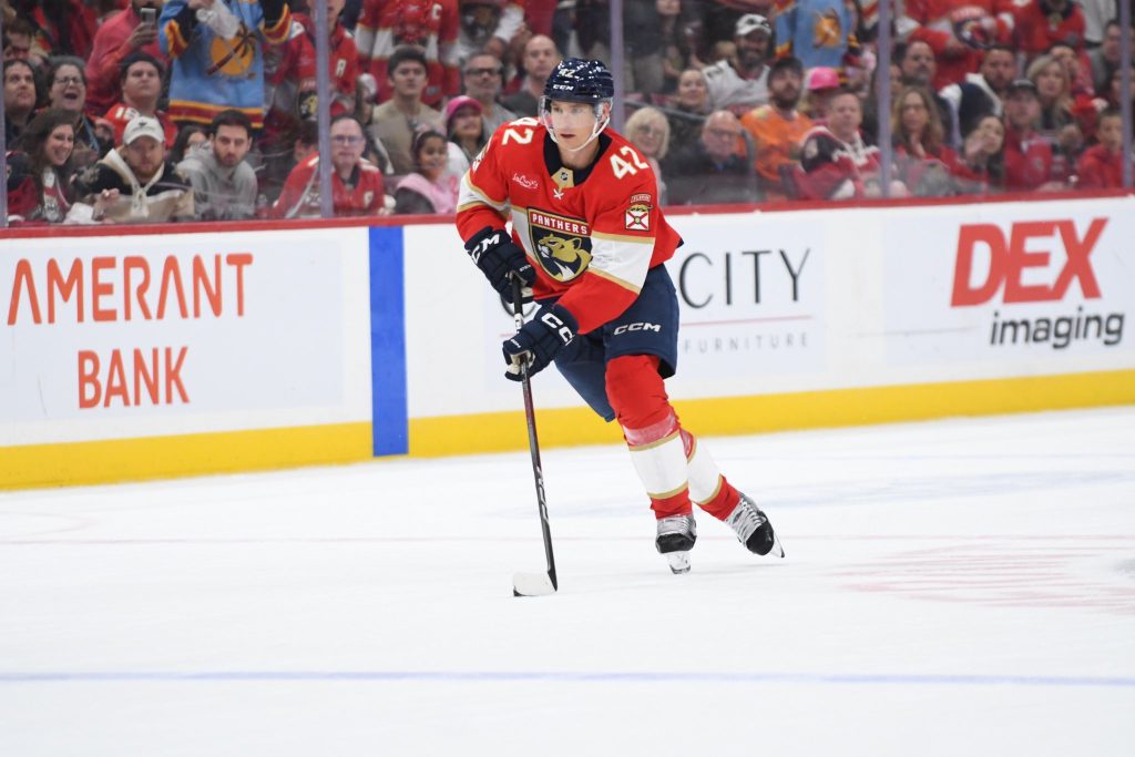 Florida Panthers Finding Win