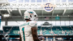 Dolphins Season Buffalo Tua