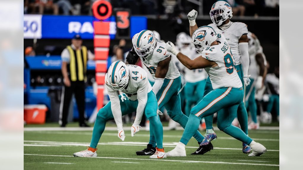 Dolphins Winning Streak Raiders