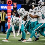 Dolphins Winning Streak Raiders