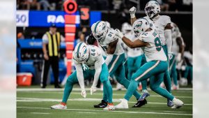 Dolphins Winning Streak Raiders