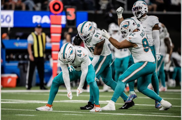 Dolphins Winning Streak Raiders