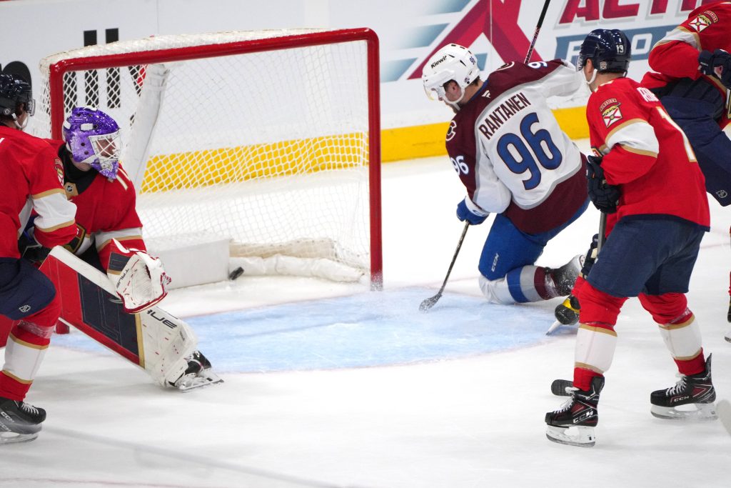 Florida Panthers End Skid