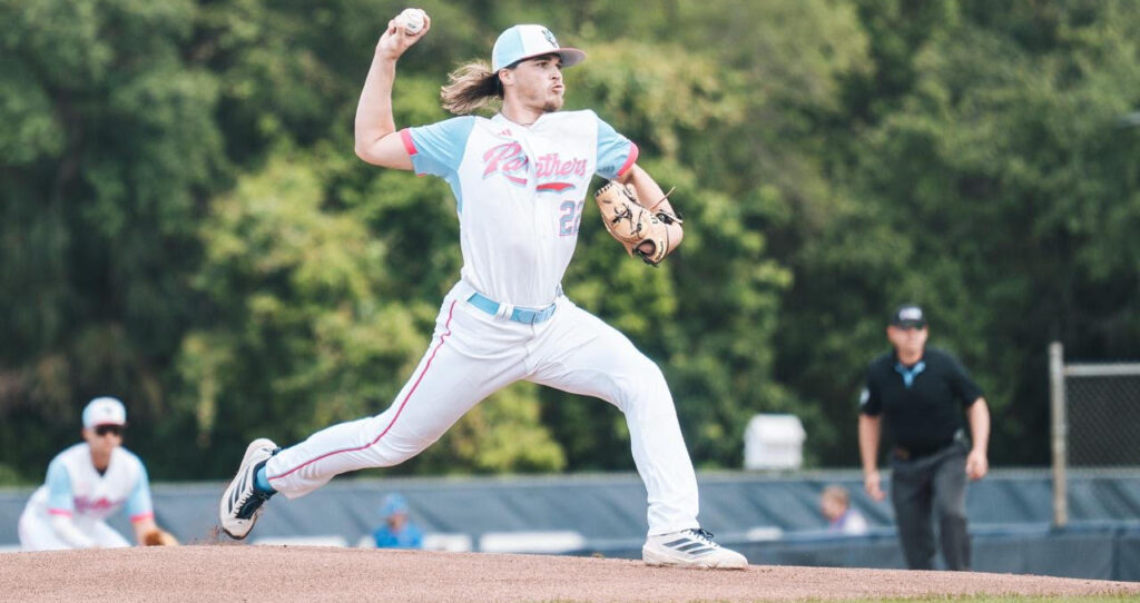 Panthers Lose Rubber Match