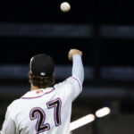 Hits Bunches Hammerheads Mets