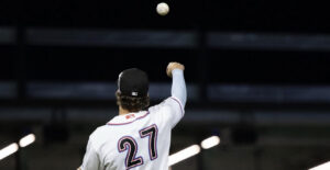 Hits Bunches Hammerheads Mets